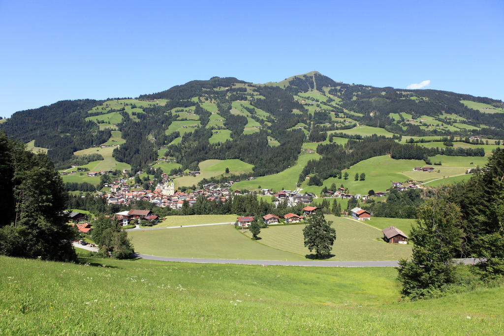 Landhaus Hinterebenhub Hopfgarten im Brixental Zewnętrze zdjęcie